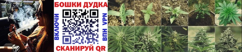Купить закладку COCAIN ЭКСТАЗИ ГАШИШ Меф Чадан