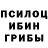 Псилоцибиновые грибы мицелий Vanin K