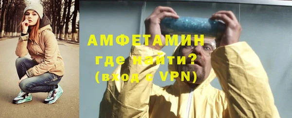 индика Кинешма
