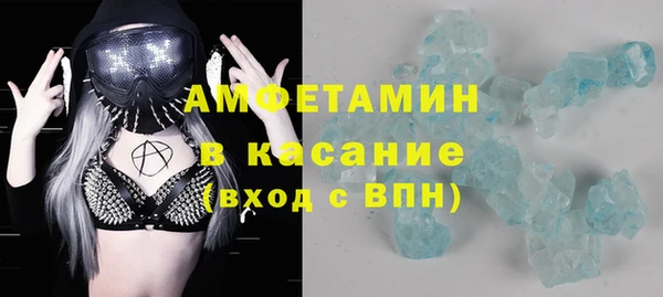 индика Кинешма