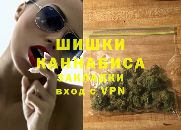 индика Кинешма