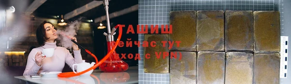 индика Кинешма