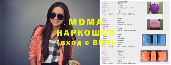 индика Кинешма