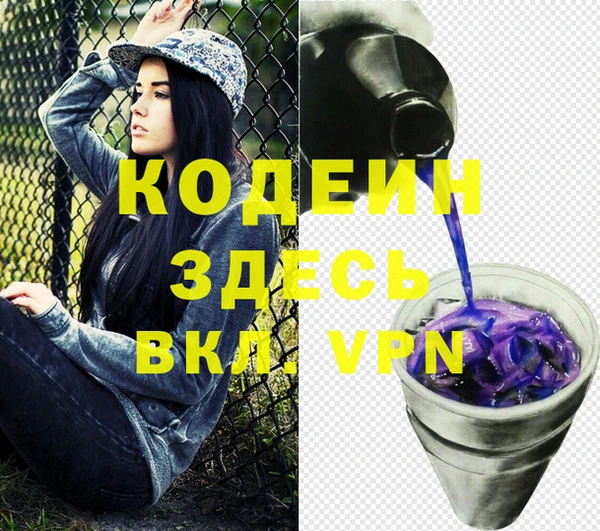 индика Кинешма