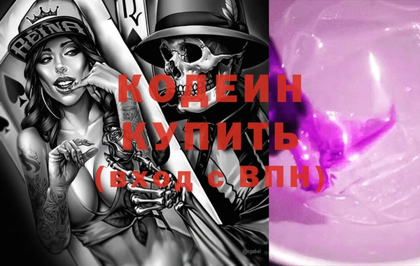 индика Кинешма