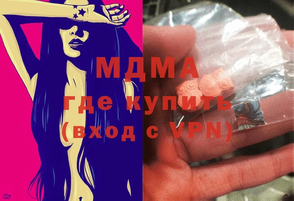 индика Кинешма