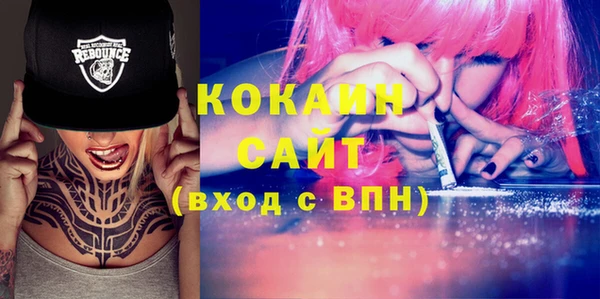 индика Кинешма