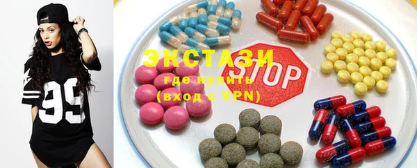 индика Кинешма