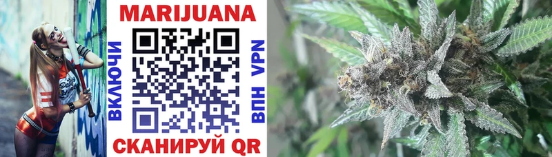 Купить закладки  Чадан  Канабис индика 
